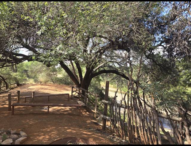 93HA FARM FOR SALE IN MOPANE